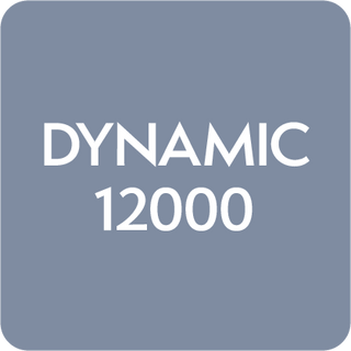 Dynamic 12000